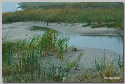 'A foggy then cloudy day ... '