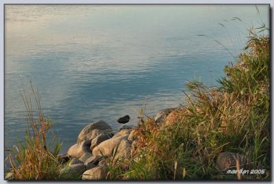 'Lewis + Clark Trail by early morning light ... '