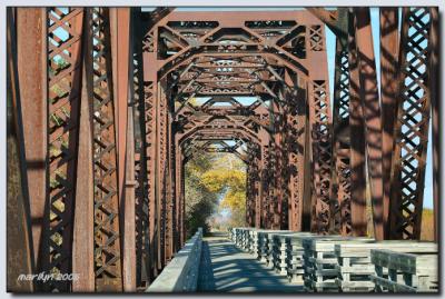 'Lewis + Clark Trail by early morning light ... '