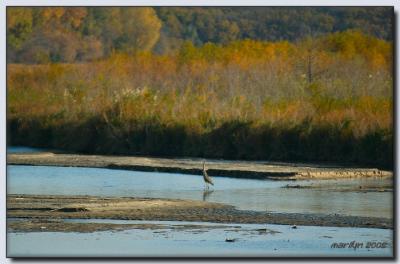 'Lewis + Clark Trail by early morning light ... '