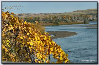 'Lewis + Clark Trail by early morning light ... '