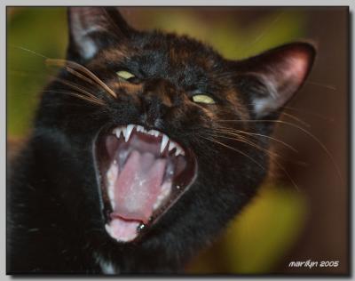 'full frontal effect ... even spookier'