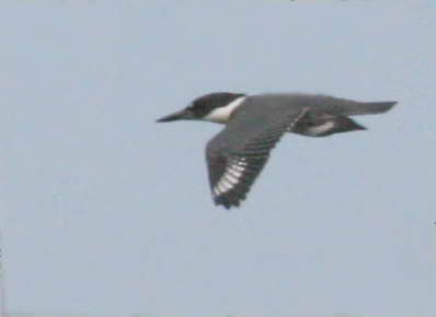 7-24 k fisher 8834.jpg