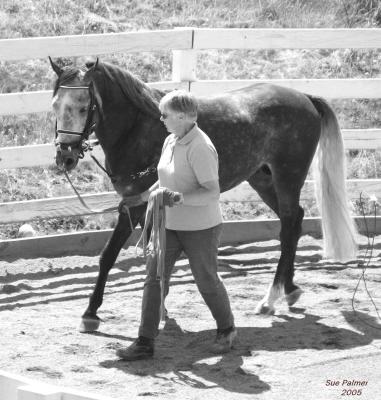 7-14 colt bw  0386.jpg