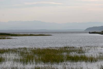 8-19 hi tide +11 0272.jpg