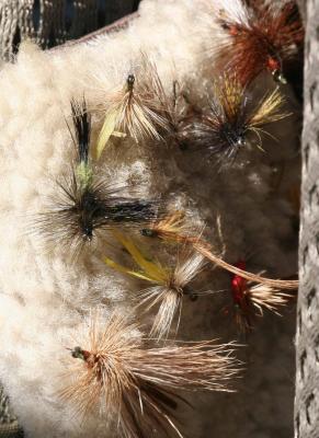 9-19 flies 1011.jpg
