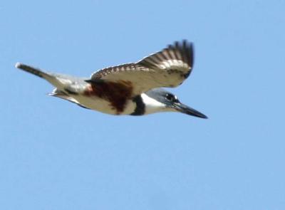 9-19 k fisher 0991.jpg