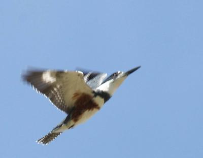 9-19 k fisher 1002.jpg