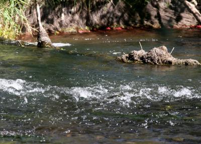9-19 pocket water 1017.jpg