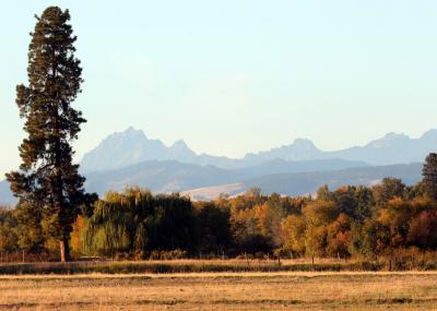 10-11 Stuart range 2021.jpg