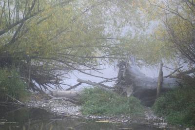 10-25 e-hole  fog 0286.jpg