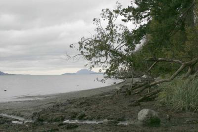 11-2 chuckanut e 0325.jpg