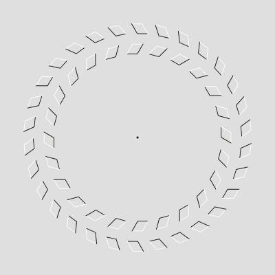 Optical Illusion #2