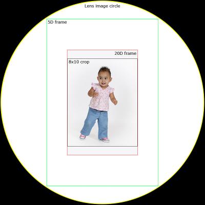5D - 20D comparison