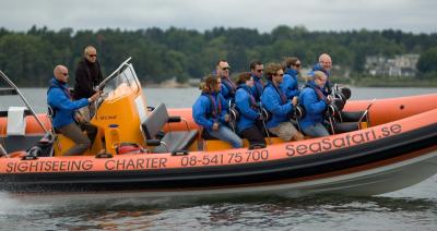 RIB-sightseeing in Stockholm archipelago