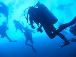 diving_icon.jpg