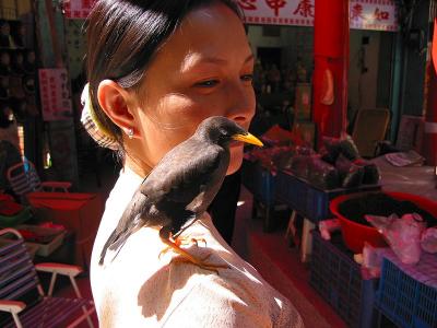 bird_on_shoulder.jpg
