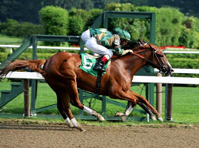 Saratoga Horse Racing