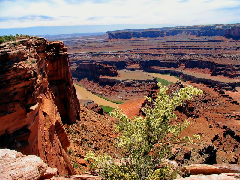 Utah