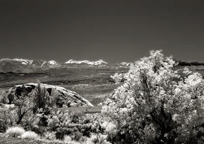 IMG_1276.jpg