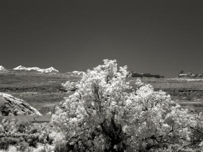 IMG_1285.jpg