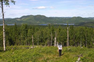 Looking towards Kikut