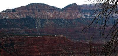 Beautiful Grand Canyon North Rim shots