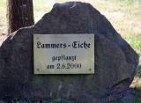 The granite stone with bronze plate naming our tree