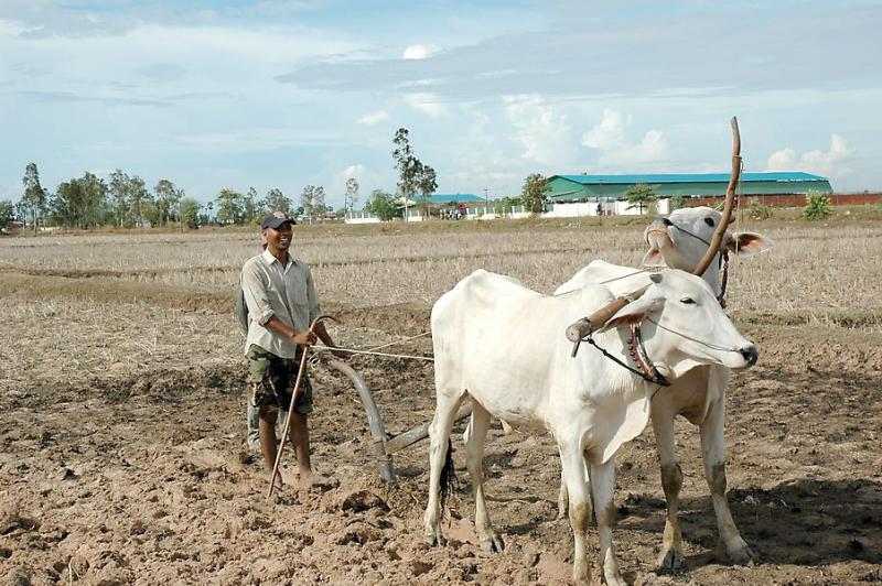 Rural area near Phnom Penh