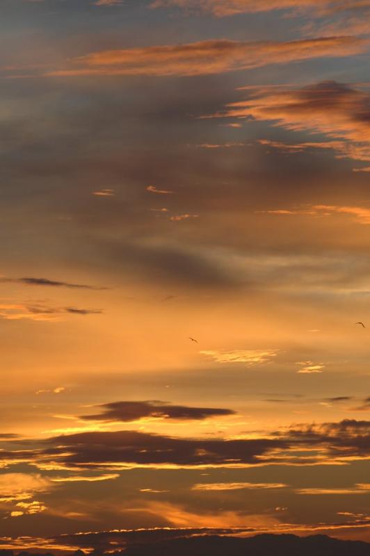 DSC_4199.jpg