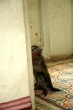 Phnom Penh,