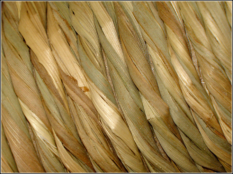 Straw braiding by _Michel_