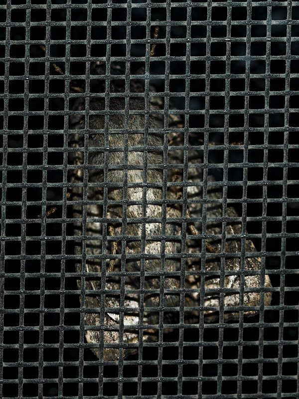 Screened out by Bob K.