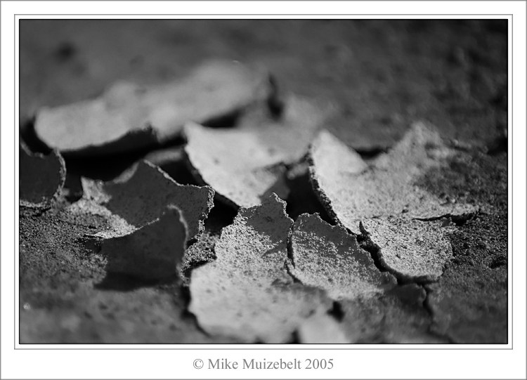 Wounded earth - Mousehill