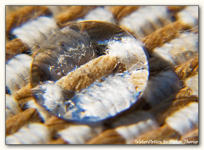 WaterOptics by Peter Thorup