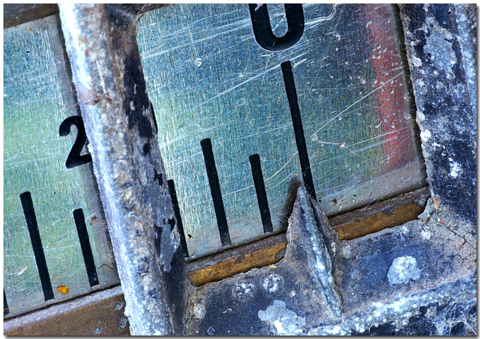 scale.jpg by shane gerrish