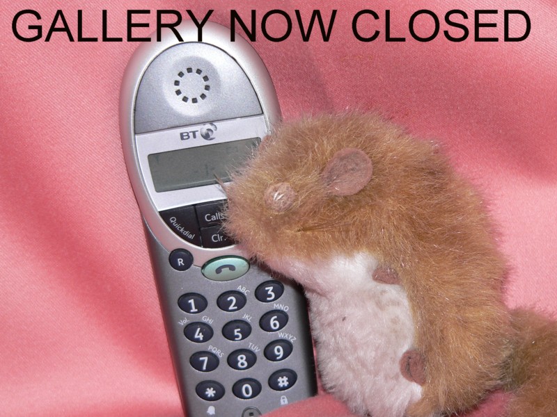 GALLERY CLOSED.