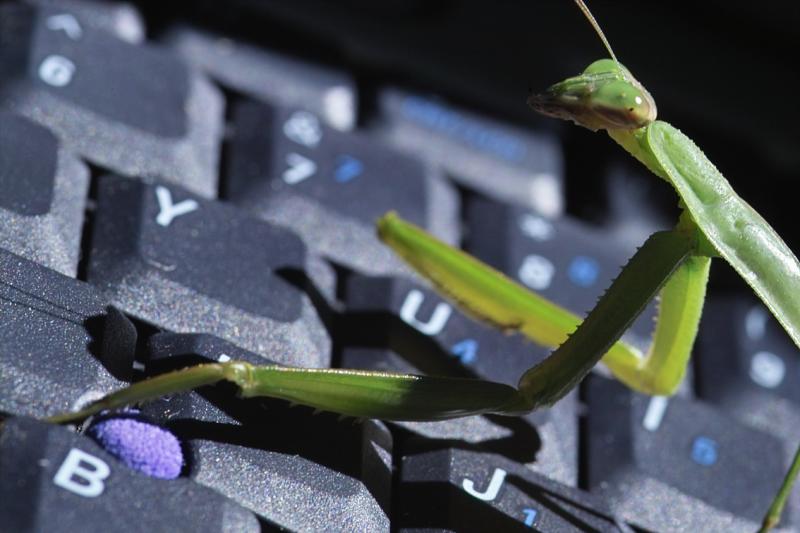 Man, this mouse sucks!