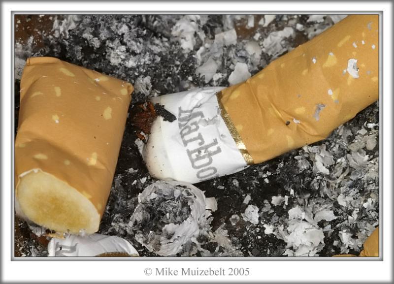 HM - Stress by Mousehill