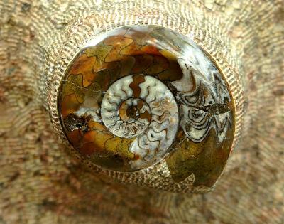 Nick Jones . Snail's pace.JPG