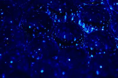 MC15 Glass2nd placeMarbles by Li