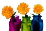 HM3: MC2 Flowers, AmerK