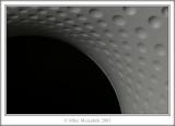 The Hole(s); Mousehill