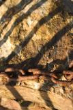 Chained, by Tian Yang (amagawa, Pentax SLR Forum)