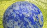 Lapis in Tomatillo Shell