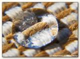 WaterOptics by Peter Thorup