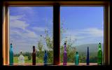 Bottles in the Window