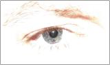 The Eye - philzucker