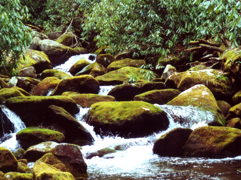 Great Smoky Mountains