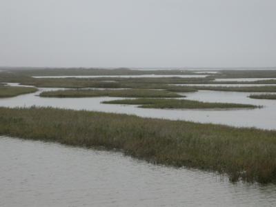 Marsh
